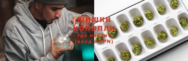 ГАЛЛЮЦИНОГЕННЫЕ ГРИБЫ Беломорск
